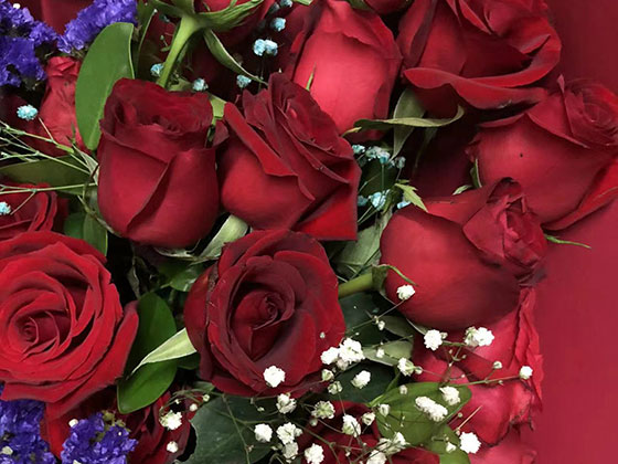 吐鲁番送长辈鲜花|设计绿化写字楼室外